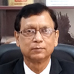 Prof. Dr. Dilip Kumar Bhowmik Gynecology In Sylhet